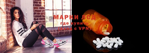 хмурый Дмитровск
