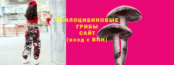 мдпв Дмитриев
