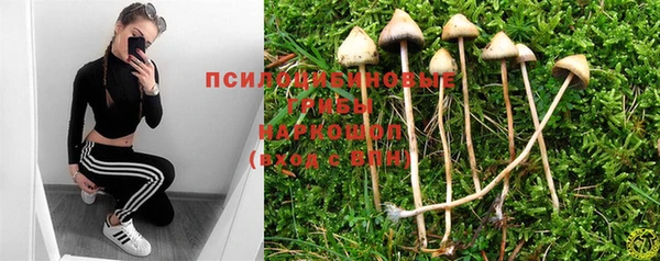 MESCALINE Дмитров