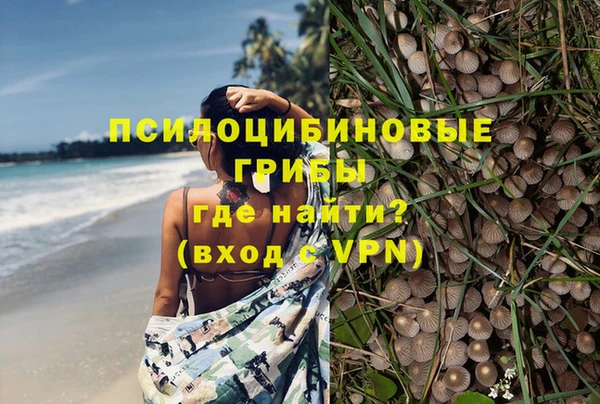 хмурый Дмитровск