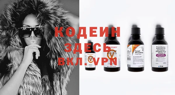 мдпв Дмитриев