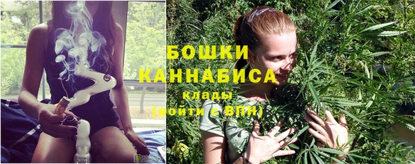 хмурый Дмитровск